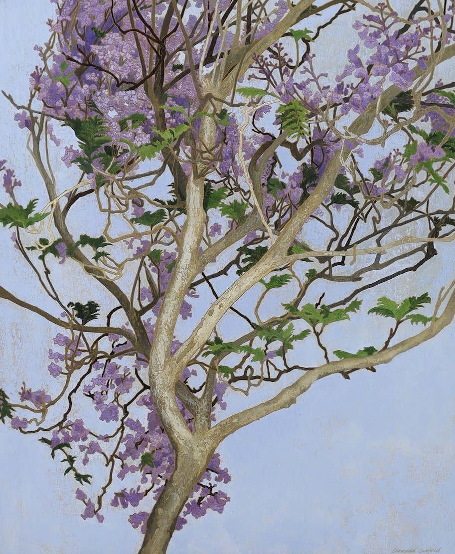 Cressida Campbell (Australian, 1960-), Jacaranda in full blossom, watercolour on incised marine ply